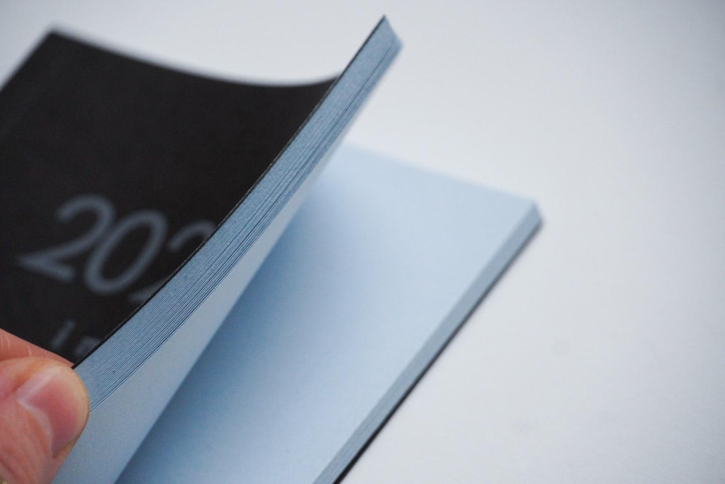 BŁĘKITNY 2026 i my